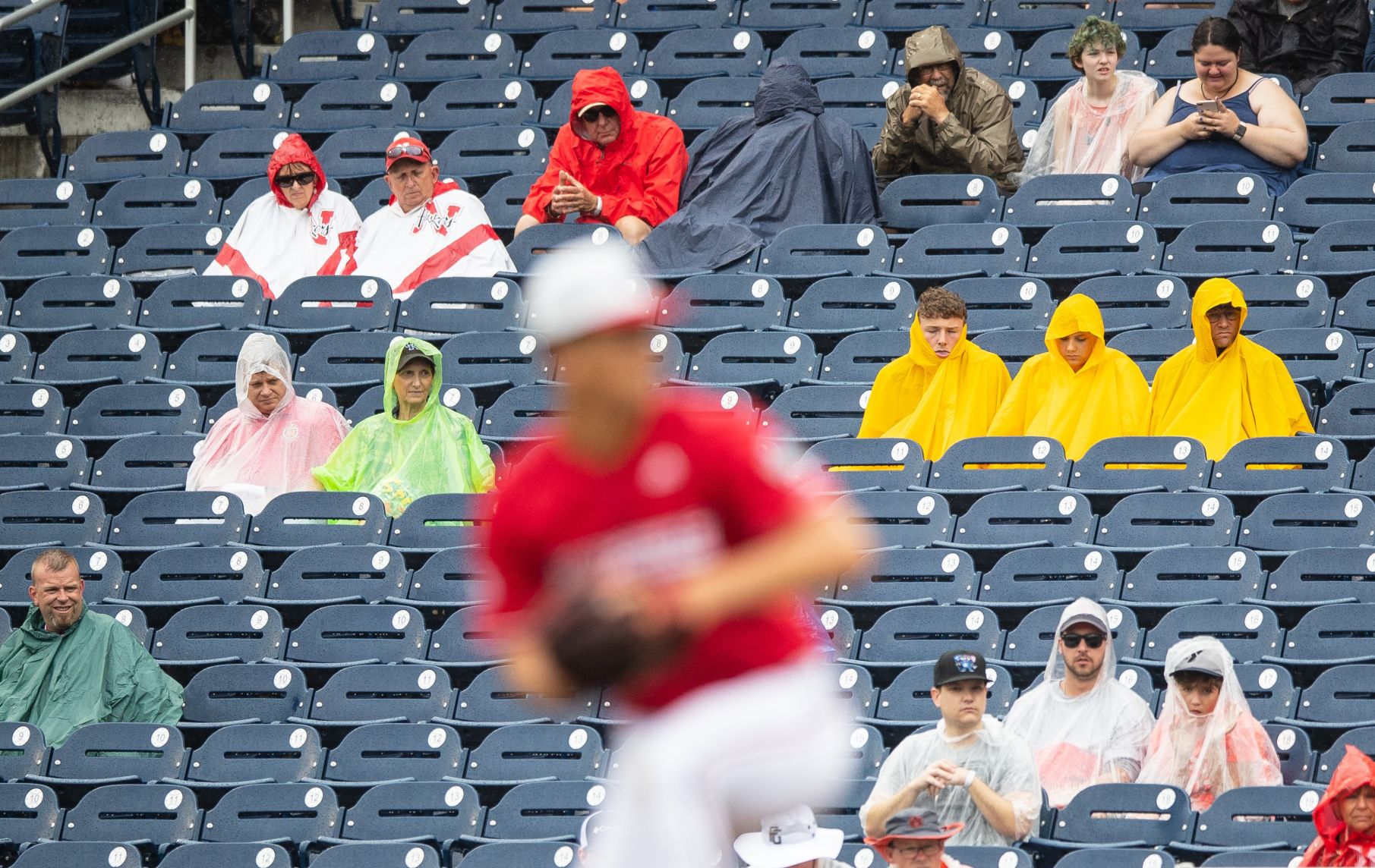 Auburn vs. Louisville at the College World Series